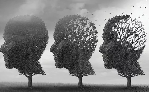 Image of three silhouettes of human heads made of leaves that are progressively withering implicating the neurodevelopmental nature of Schizophrenia.