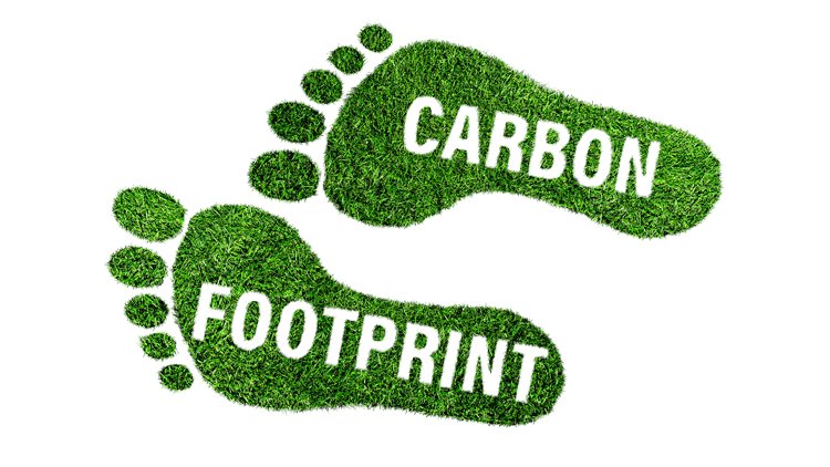 Image of a green human feet with the words carbon & footprint on each.